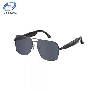 AI Smart Glasses